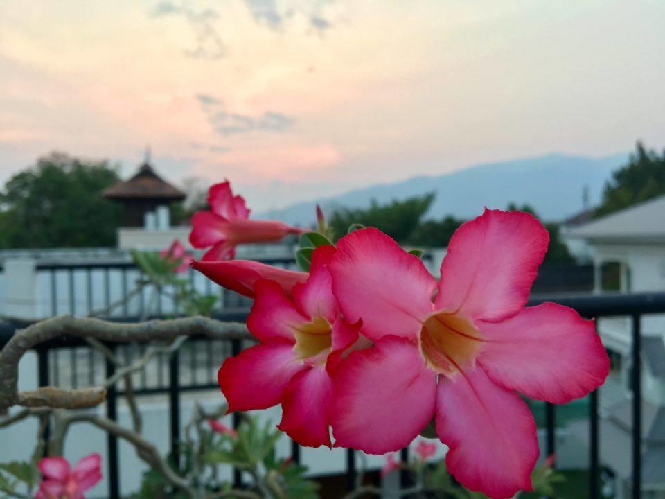 Hotel Nine Chiangmai