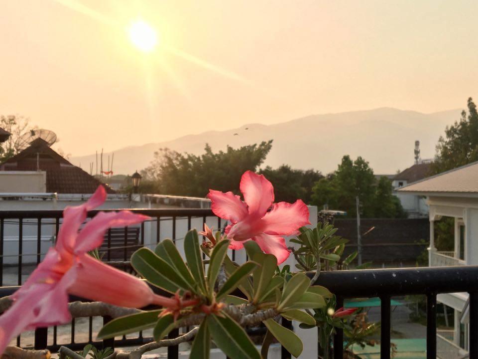 Hotel Nine Chiangmai 4*